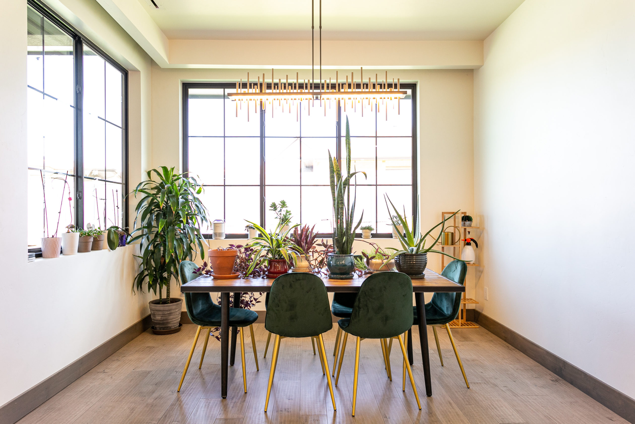 Diana Garrett Architectural Photographer, Boulder, CO